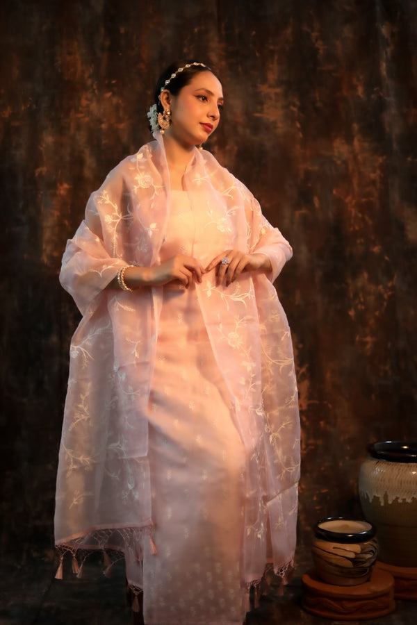 Parsi Web